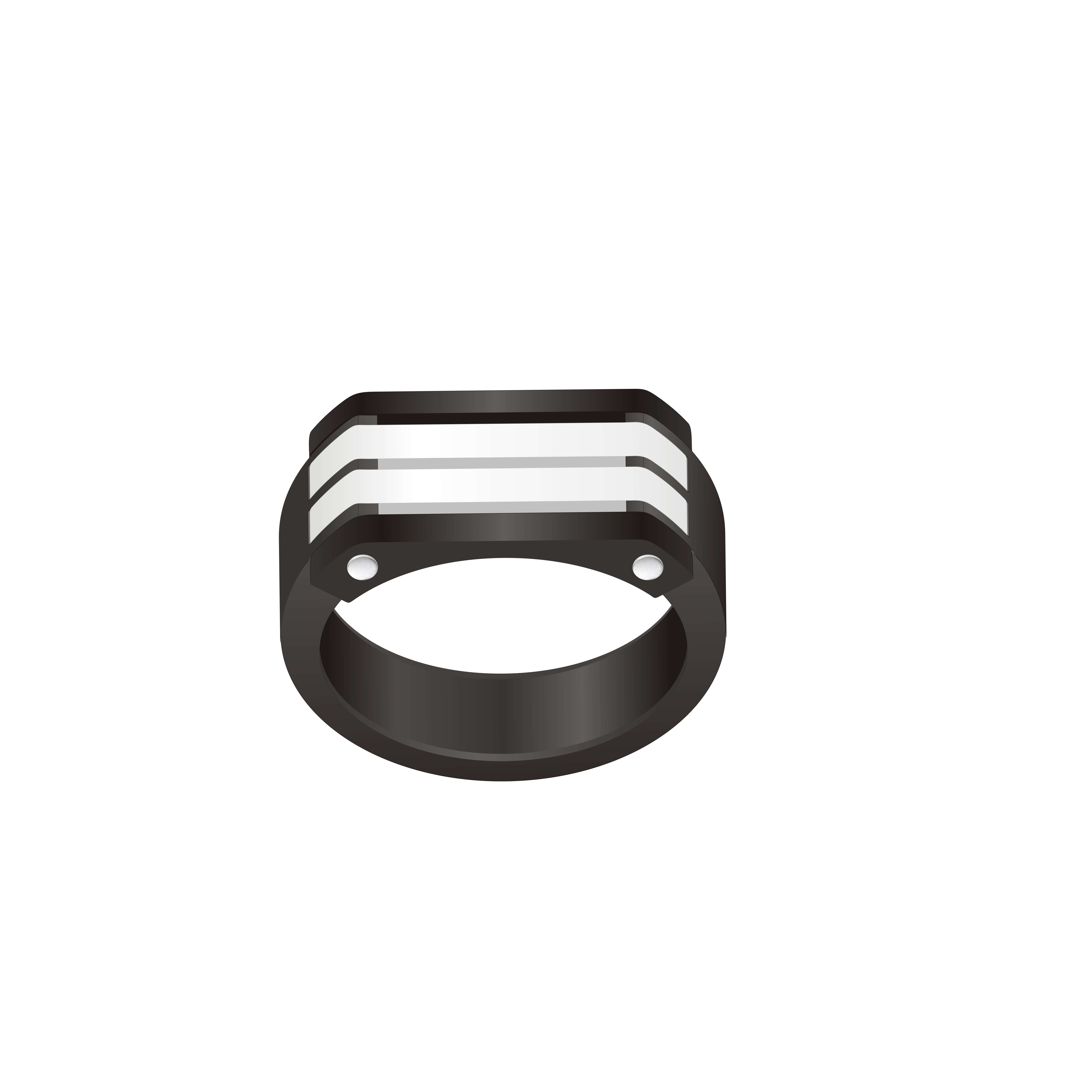 Eye - Catching Ring, Black Base With Double Silver Strips And Rivets